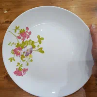 ظروف آرکوپال