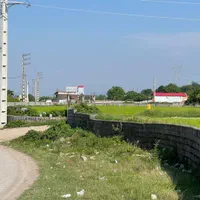 فروش زمین جنگلی اقساطی سر آسفالت|فروش زمین و ملک کلنگی|آمل, |دیوار