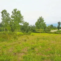 زمین زراعی  بر جاده اصلی دریا