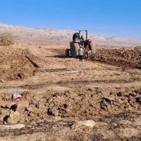 شخم و ردیف کار