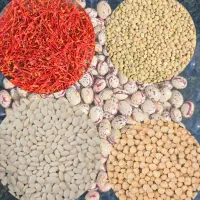 بهترین کیفیت حبوبات تازه امساله