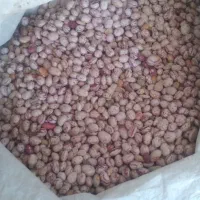 لوبیا چیتی|خوردنی و آشامیدنی|زرین دشت (فارس), |دیوار