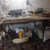 میزاتو