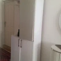 جاکفشی سفید در حد