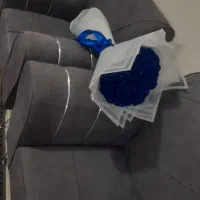 گل روبانی، فقط شاخه ای ۴۰ هزار فول شاین با تزین