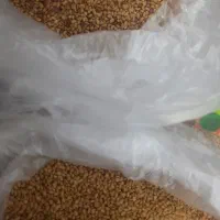 بذر یونجه|گل و گیاه طبیعی|ایلخچی, |دیوار