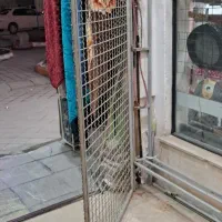 قفسه|فروشگاه و مغازه|اردبیل, |دیوار