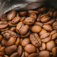 نظافتچی و ظرفشور