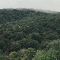 زمین داخل بافت،دو قطعه۲۵۰،سند۶دانگ،عباس آباد،گرداب|فروش زمین و ملک کلنگی|عباس‌آباد, |دیوار