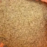 فل (پوسته برنج)