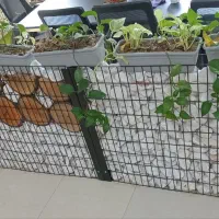 طراحی و اجرا دیوار گابیون و سنگ قلوه