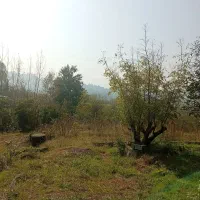 زمین کوهپایه‌ای با سند تک برگ|فروش زمین و ملک کلنگی|لاهیجان, آهندان|دیوار