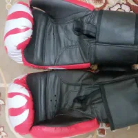 دستکش بوکس اصلی|تجهیزات ورزشی|شیراز, باهنر|دیوار