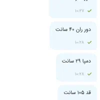 شلوار|لباس|تهران, حکمت|دیوار