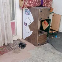 مایکن و میز|مجسمه، تندیس، ماکت|بجنورد, |دیوار