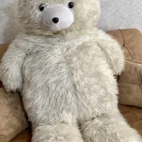 فروش خرس فوری