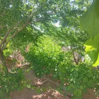 باغ هزار متری مرزجران