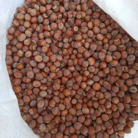 فروش فندق پاکسازی شده بدون خرابی و پوچی و سیاهی|خوردنی و آشامیدنی|رشت, بازار|دیوار