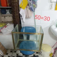 چند عدد آکواریوم و وسایل|حراج|اقبالیه, |دیوار