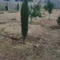 فروش باغ شهری ۱۲۰۰ متری در باهنر