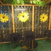 قلیون زن و خدماتی