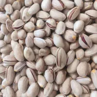 فروش پسته درجه یک