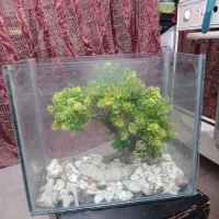 آکواریوم فروشی