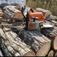 برش چوب . خرید چوب|خدمات باغبانی و درختکاری|بندر ماهشهر, |دیوار