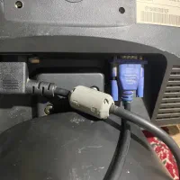 سالم درخته نو