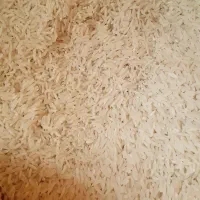 برنج فجر نوک سوزنی ۱۲۰ روزه
