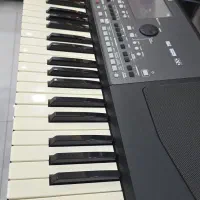 pa600 qt|پیانو، کیبورد، آکاردئون|گنبد کاووس, |دیوار