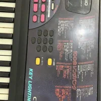 ارگ کاسیو تمرینی|پیانو، کیبورد، آکاردئون|کرمان, |دیوار