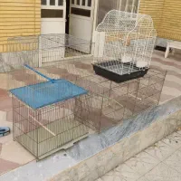 قفس پرون و طوطی وقفس اصفهانی
