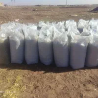 پخش علوفه دامی