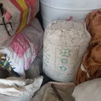 بیا ببر ۹۰۰