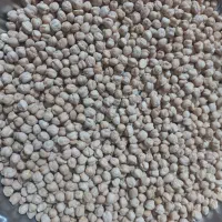 فروش نخود وعدس