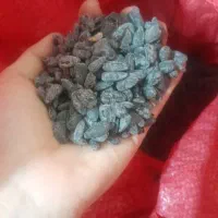 تخمه آفتاب گردان
