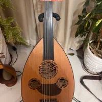 عود حرفه ای