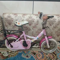 دوچرخه صورتی ۱۲