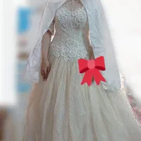 فروش و اجاره لباس عروس شاین دار|لباس|بیرجند, |دیوار