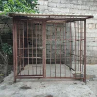 قفس سگ|لوازم جانبی حیوانات|شلمان, |دیوار