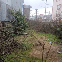 فروش زمین جهت ساخت آپارتمان خمام|فروش زمین و ملک کلنگی|رشت, فرزانه|دیوار