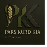 طراحی حرفه ای لوگو|خدمات رایانه‌ای و موبایل|بستان آباد, |دیوار