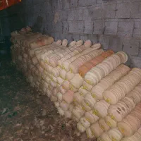 سفال سبزه|ظروف پخت‌وپز|شیراز, میرزاکوچک خان|دیوار