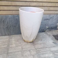 دو عدد گلدان خالی و دو عدد گلدان با گل|گل و گیاه طبیعی|تهران, افسریه جنوبی|دیوار