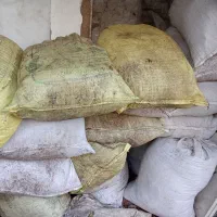 کودمرغ گوشتی سالن