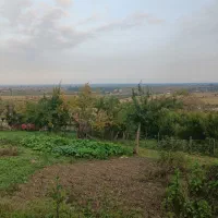 زمین مسکونی ۸۰۰متر کوهپایه ای