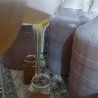 عسل کوهستانها دهبکری با ژل رویال