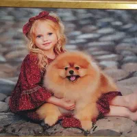 تابلو فرش|تابلو فرش|یاسوج, |دیوار