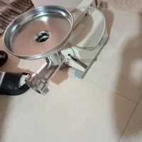 چرخ گوشت باگنشت